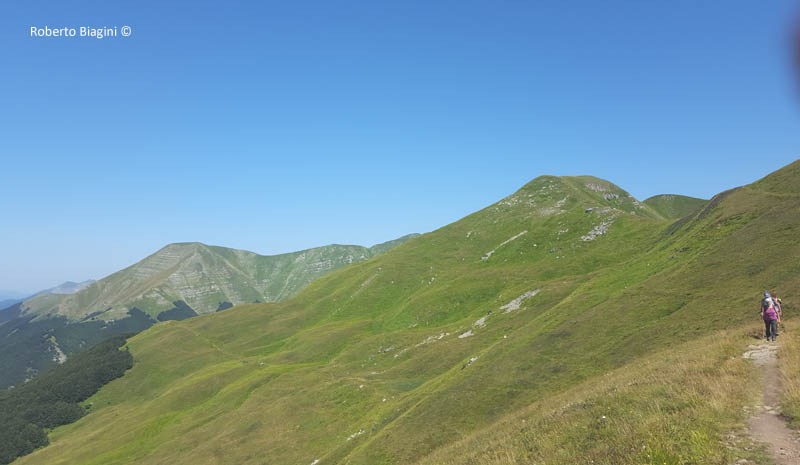 ORSIGNA - MARESCA: CRINALE DELL'APPENNINO 2